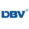 DBV VALVE GROUP CO.,LTD's Logo