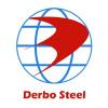 Derbo Steel Pipe Co., Ltd.'s Logo