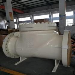 API6D CHECK VALVE