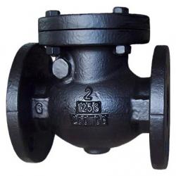 ANSI swing check valve