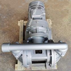 electric double diaphragm transfer pump