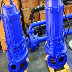 Submersible sludge sewage drainage pump