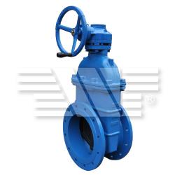 Cast Iron Gate Valve