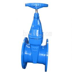 British Standard Soft-Sealing Gate Valve