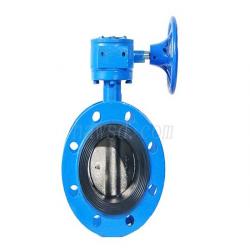 Worm Gear Operated Flange Butterfly Valve