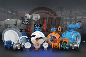 Zhejiang Youfumi Valve Co.,Ltd