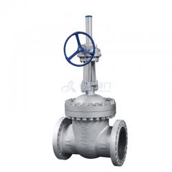 Cast steel OS&Y Gate valve